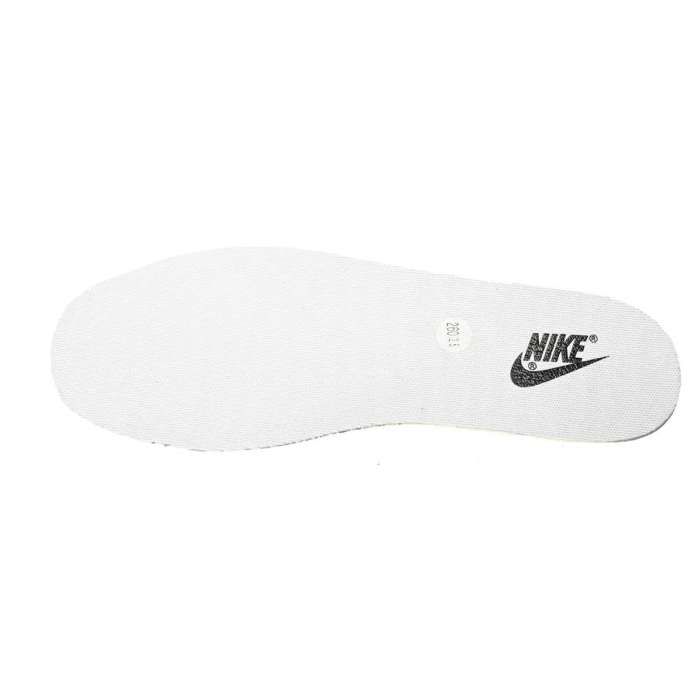 Nike Dunk Low Cocoa Bean DD1391-100