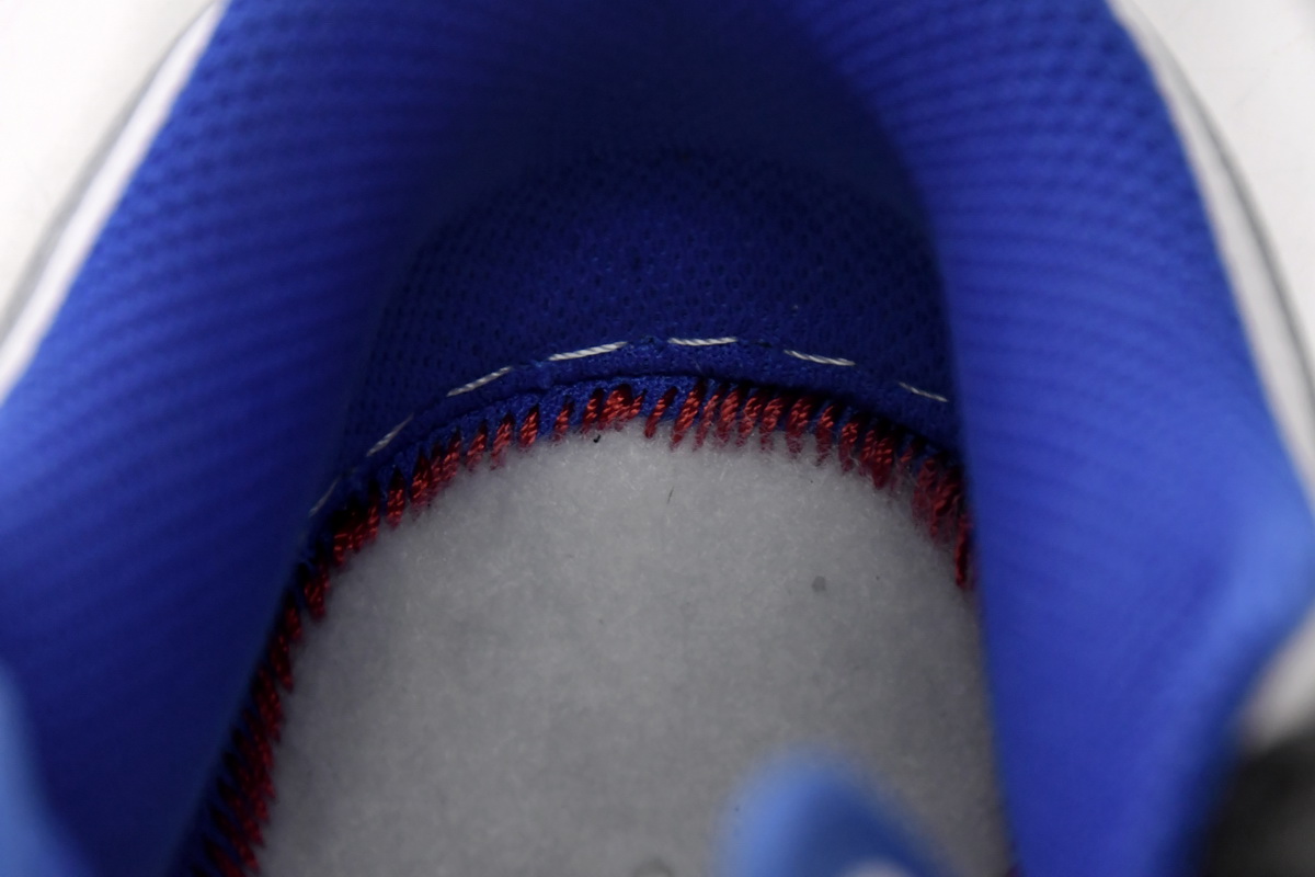 Nike Dunk Low White Black Royal FD9064-110