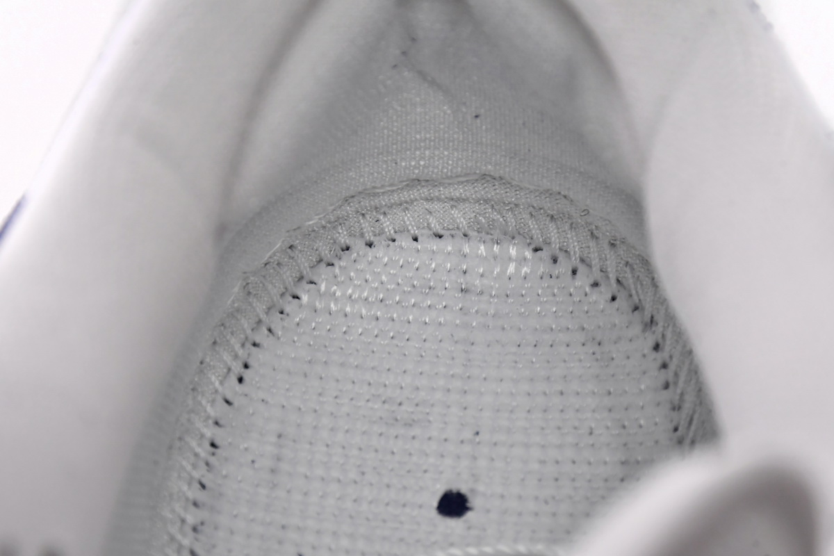 Nike SB Dunk Low Los Angeles Dodgers DO9395-400