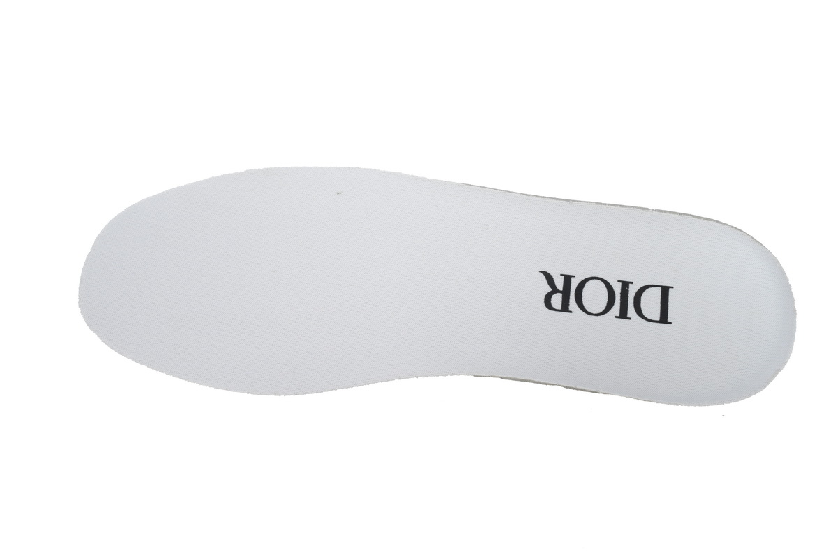 Dior B101 Cream Griege White  3SN285ZRH_H068