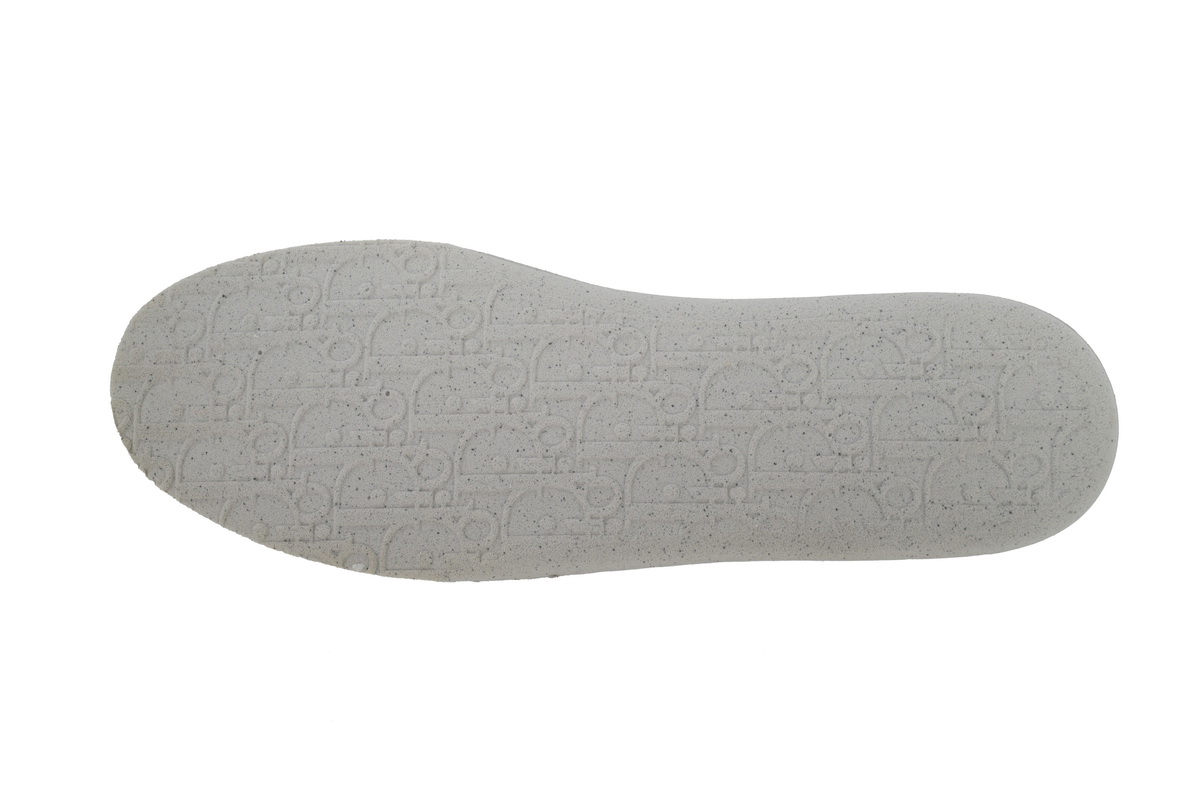 Dior B101 Cream Griege White  3SN285ZRH_H068