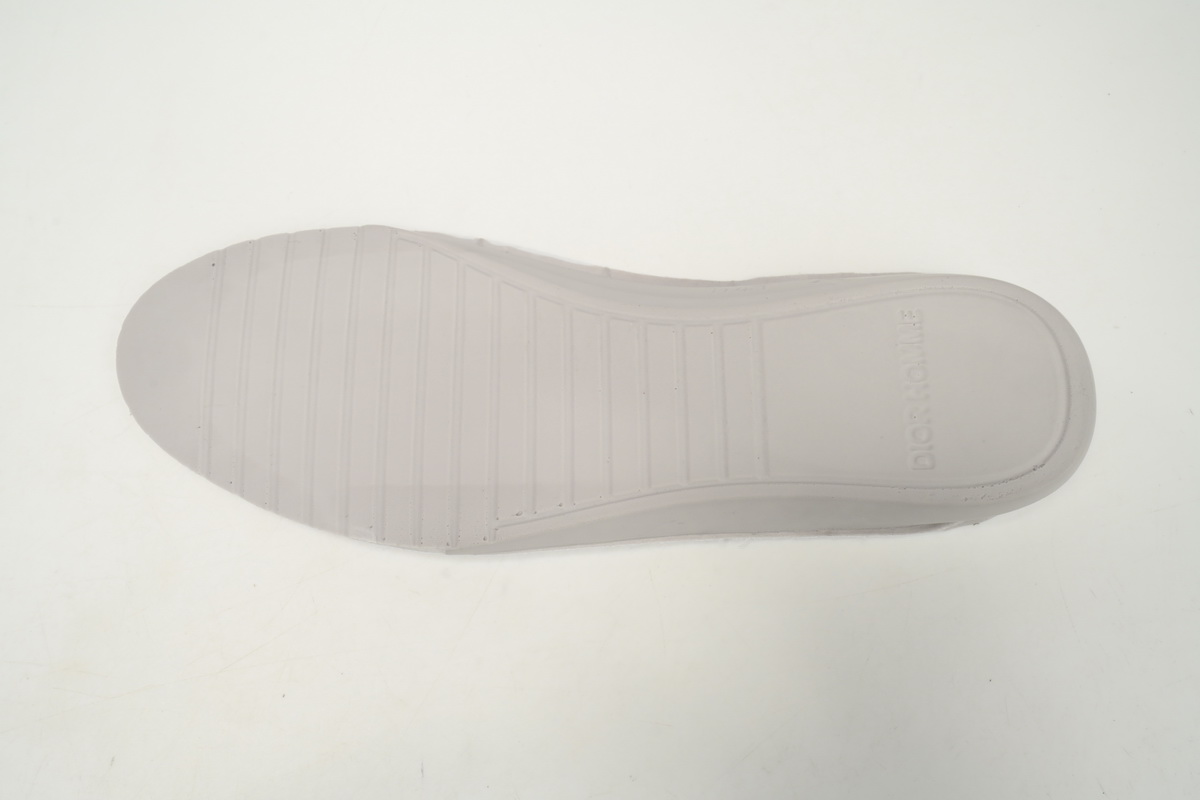 Dior B23 Blue Oblique 3SH118YNT_H568