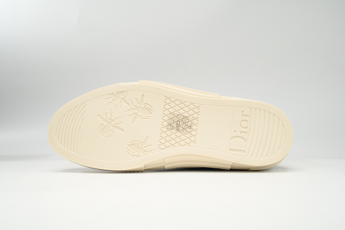 Dior B23 CACTUS JACK Black 3SH126ZOI_H961