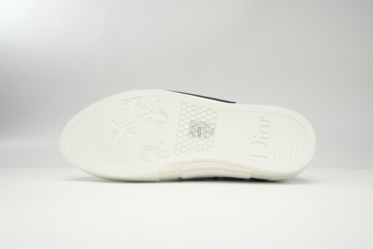 Dior B23 Low Top Red Blue Oblique 3SN249YTG_H563