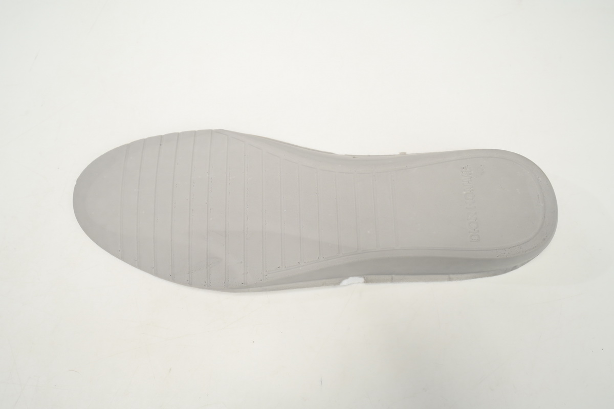 Dior B23 Low Top Red Blue Oblique 3SN249YTG_H563