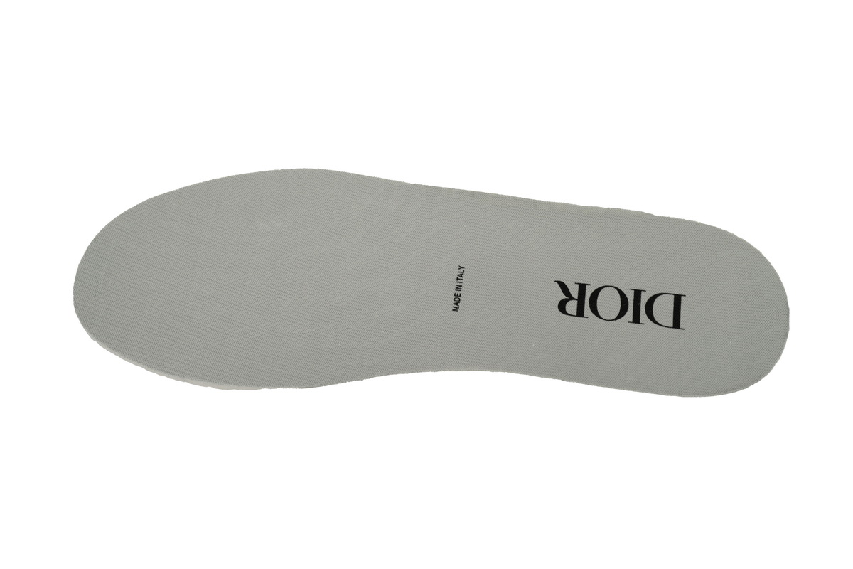 Dior B27 High Gray White