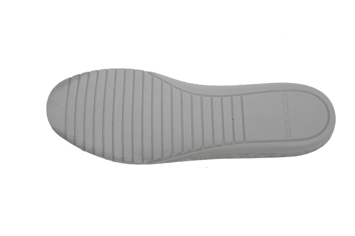 Dior B27 Low White Gray