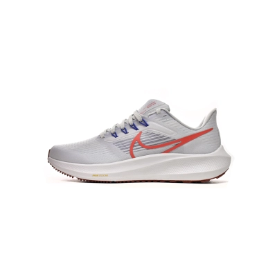 Nike Air Zoom Pegasus 39 Grey Bright Crimson DH4071-007 01