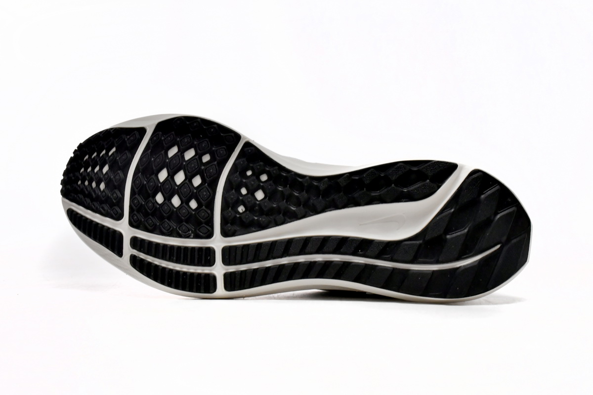 Nike Air Zoom Pegasus 39 Phantom Grey Black  DH4071-004