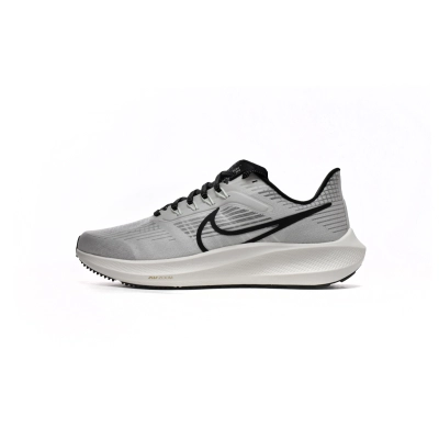 Nike Air Zoom Pegasus 39 Phantom Grey Black  DH4071-004 01
