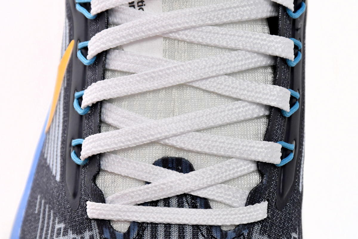 Nike Air Zoom Pegasus 39 Premium Obsidian Yellow DO9580-400