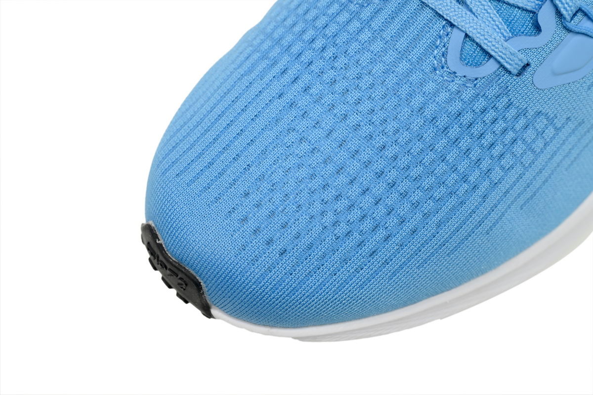 Nike Air Zoom Pegasus 39 UNC DR1967-400