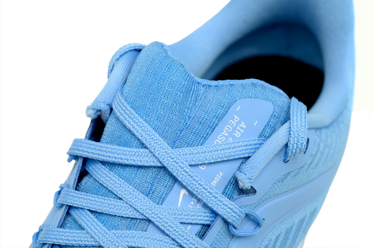 Nike Air Zoom Pegasus 39 UNC DR1967-400