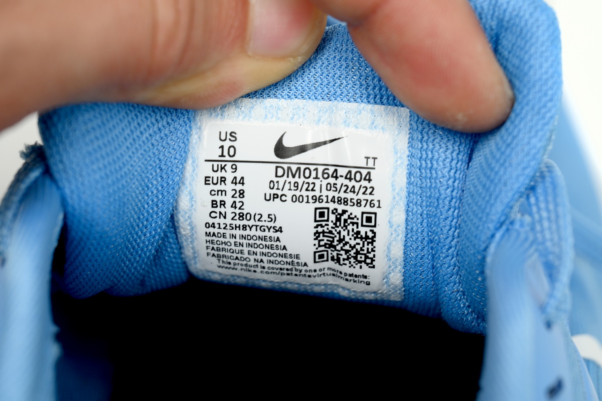 Nike Air Zoom Pegasus 39 UNC DR1967-400