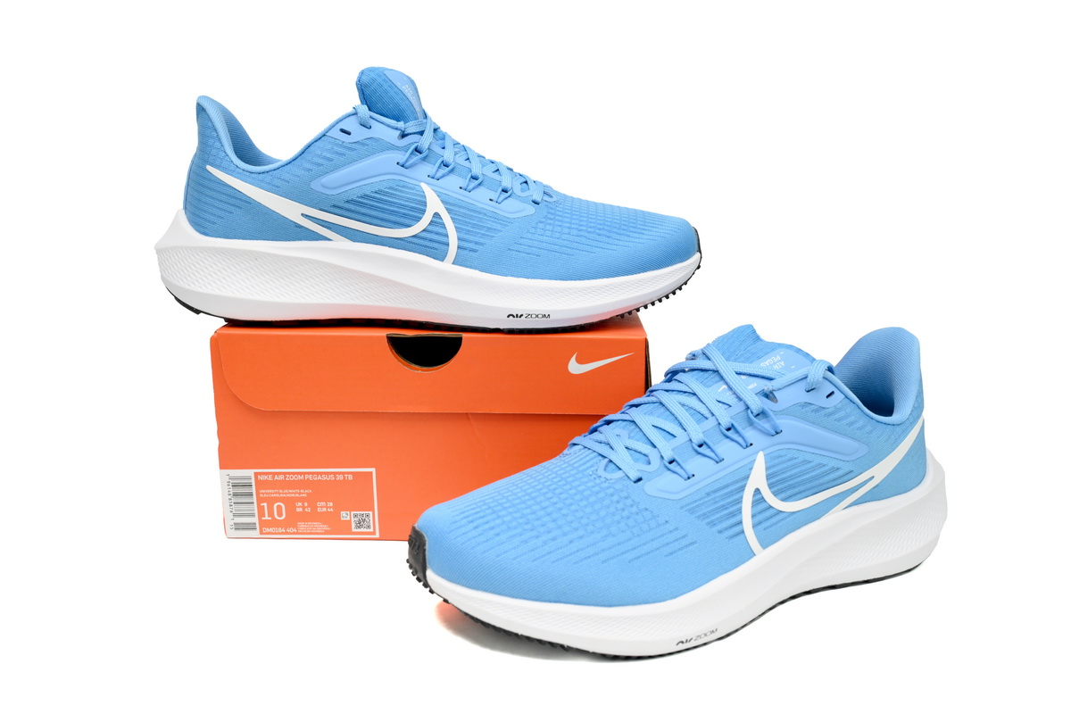 Nike Air Zoom Pegasus 39 UNC DR1967-400
