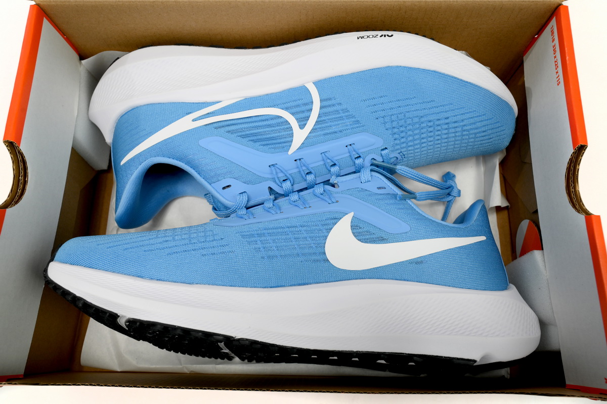 Nike Air Zoom Pegasus 39 UNC DR1967-400