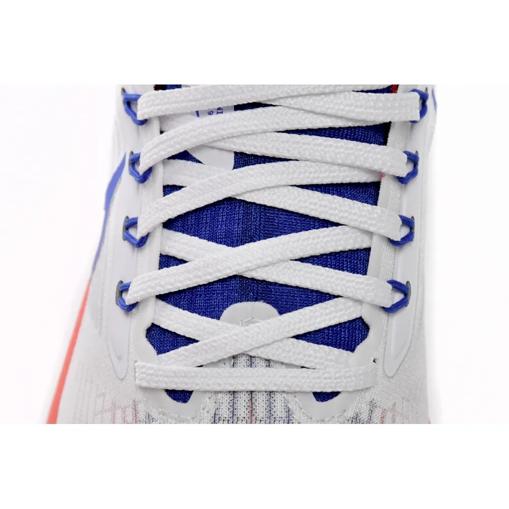 Nike Air Zoom Pegasus 39 USATF DQ7885-100