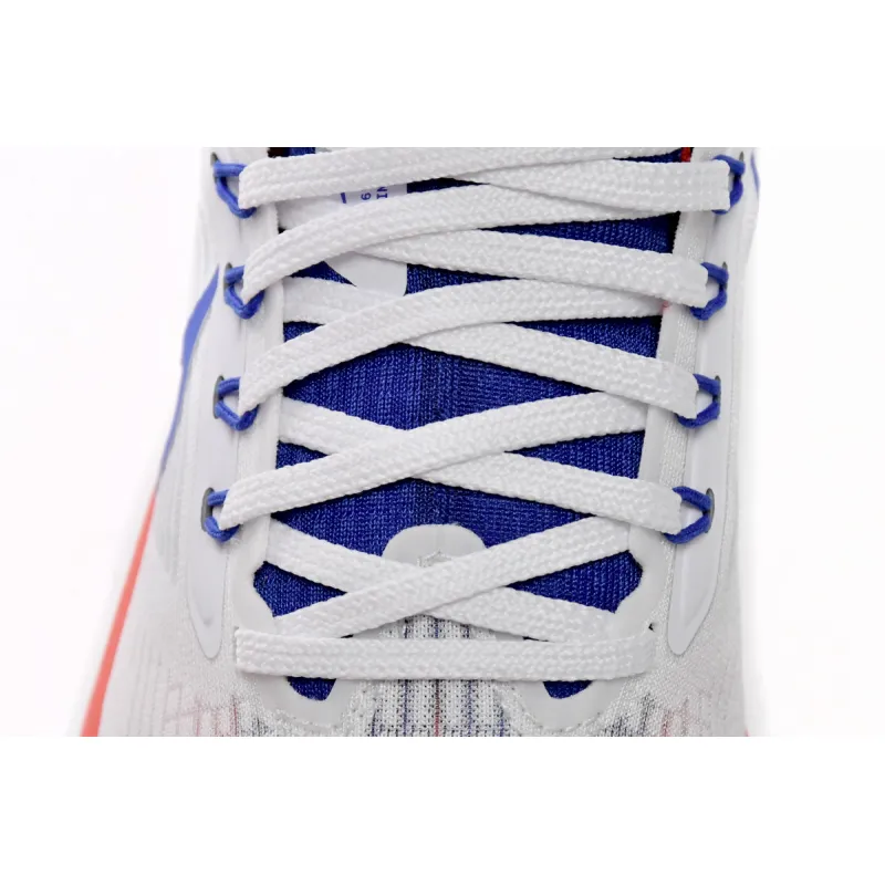 Nike Air Zoom Pegasus 39 USATF DQ7885-100