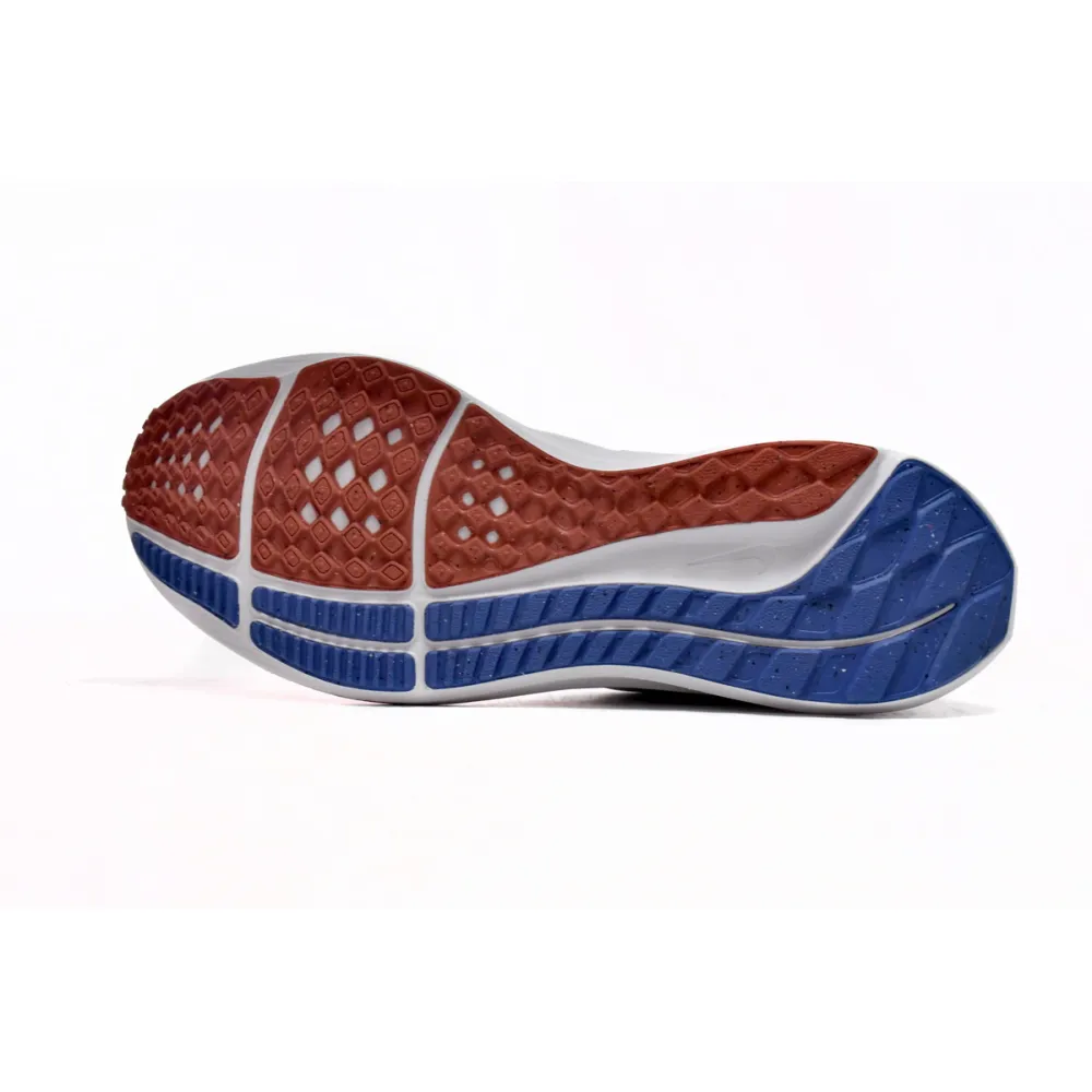 Nike Air Zoom Pegasus 39 USATF DQ7885-100