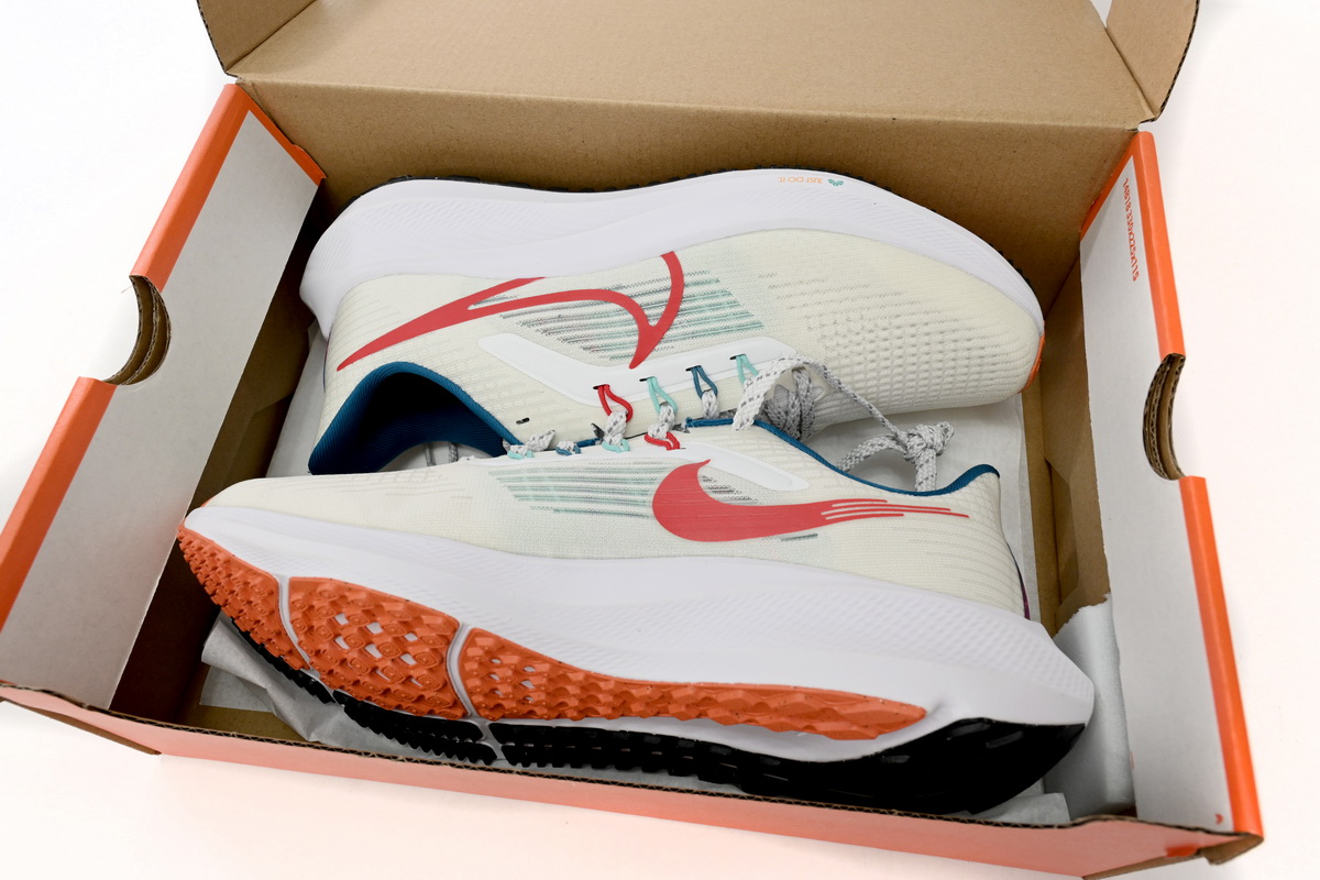 Nike Air Zoom Pegasus 39 White Blue Red FD4322-161