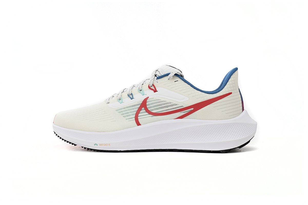 Nike Air Zoom Pegasus 39 White Blue Red FD4322-161