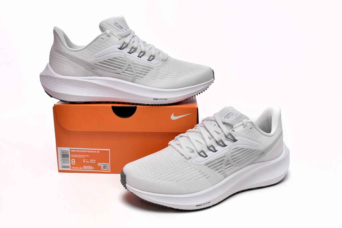 Nike Air Zoom Pegasus 39 White Grey Fog DH4072-100