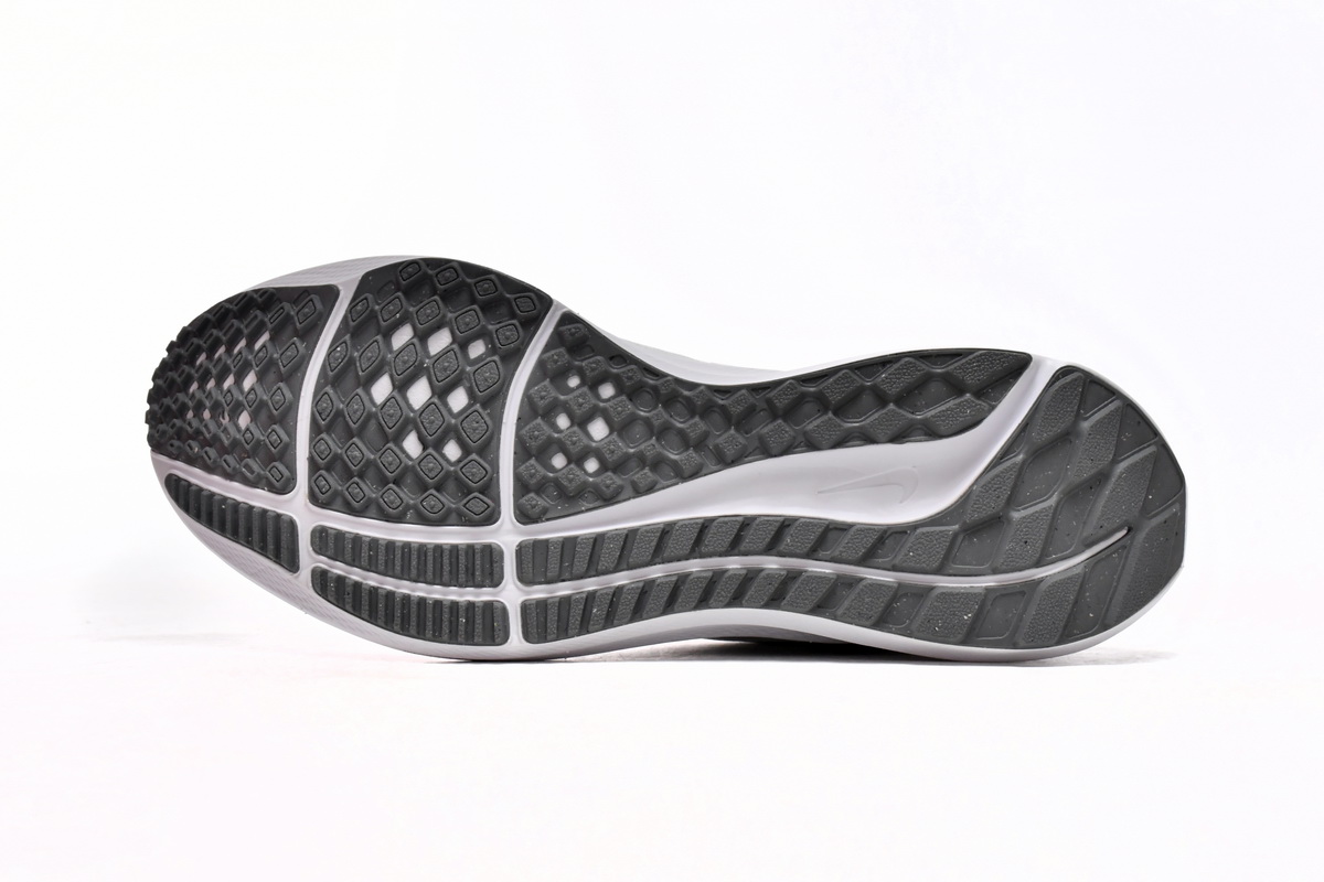 Nike Air Zoom Pegasus 39 White Grey Fog DH4072-100