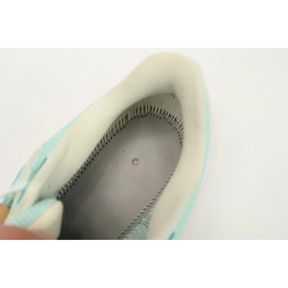Nike Air Zoom Pegasus 40 Light Green Orange DV3854-300