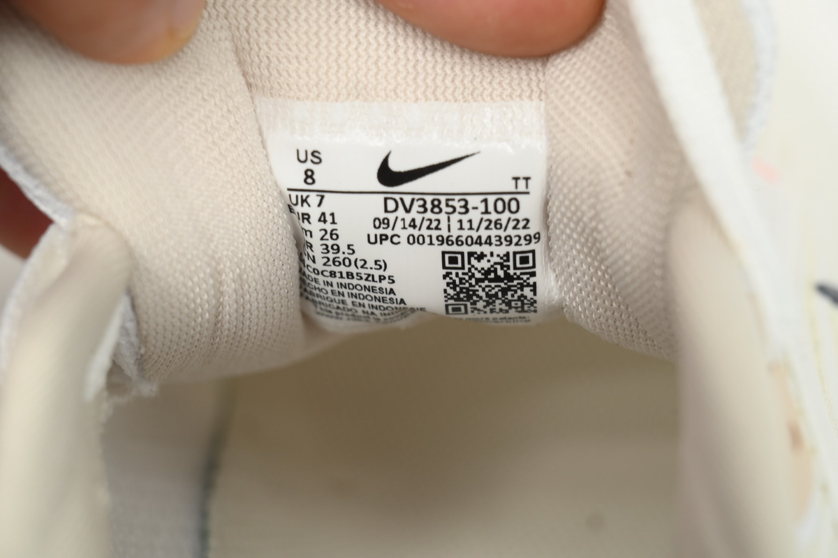 Nike Air Zoom Pegasus 40 White Obsidian DV3853-100
