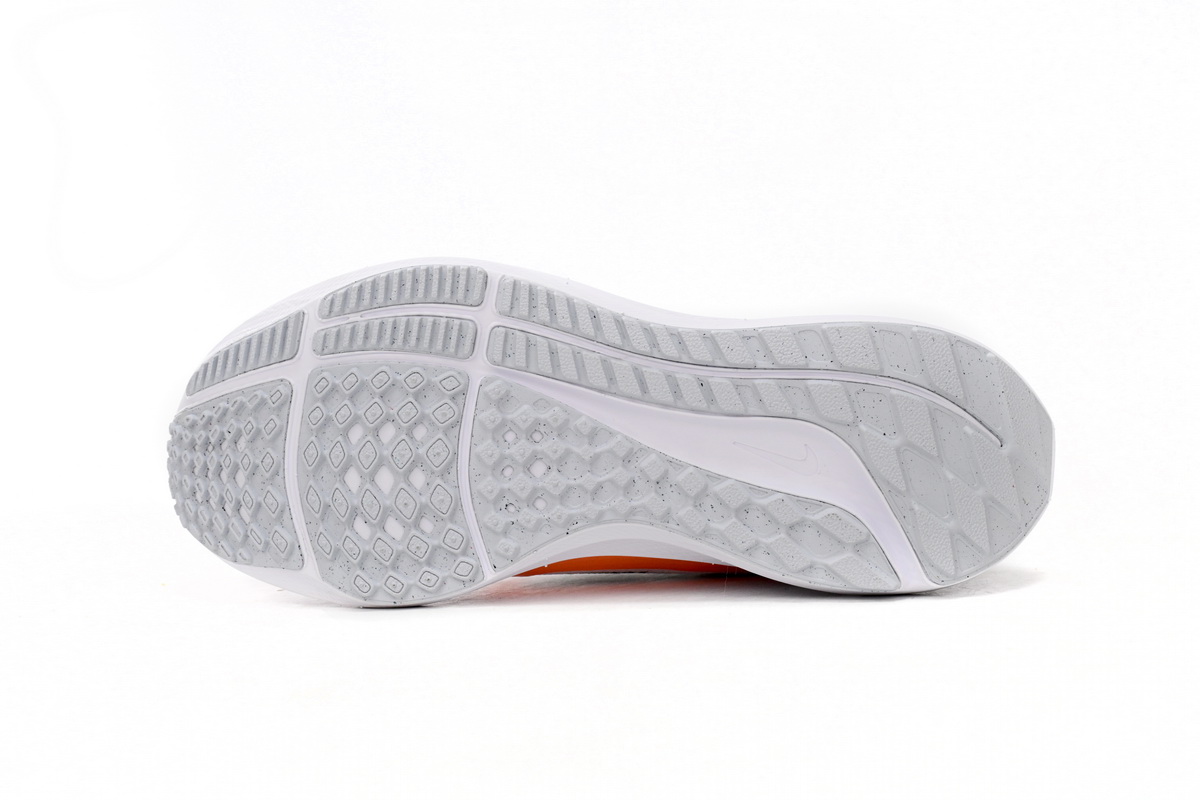 Nike Pegasus 40 Premum White Multi-Color  FB7179-100