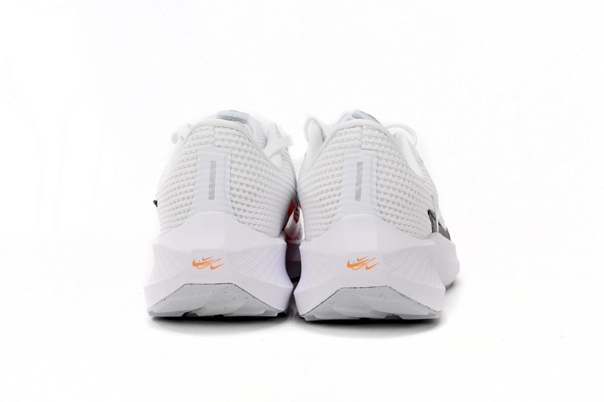 Nike Pegasus 40 Premum White Multi-Color  FB7179-100