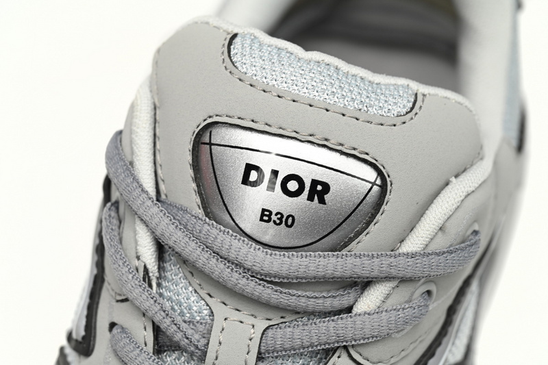 Dior B30 Gray Gray   3SN279ZND-H860