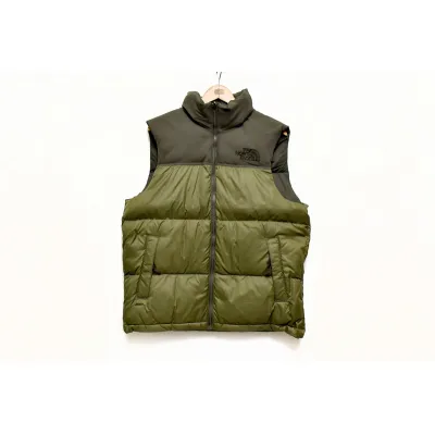 The North Face Dark Green 01