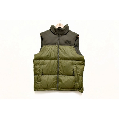 The North Face Dark Green 01