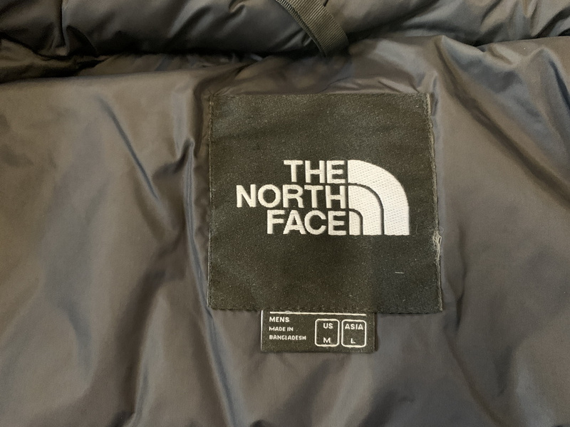 the Nor*h face fla xen down jacket