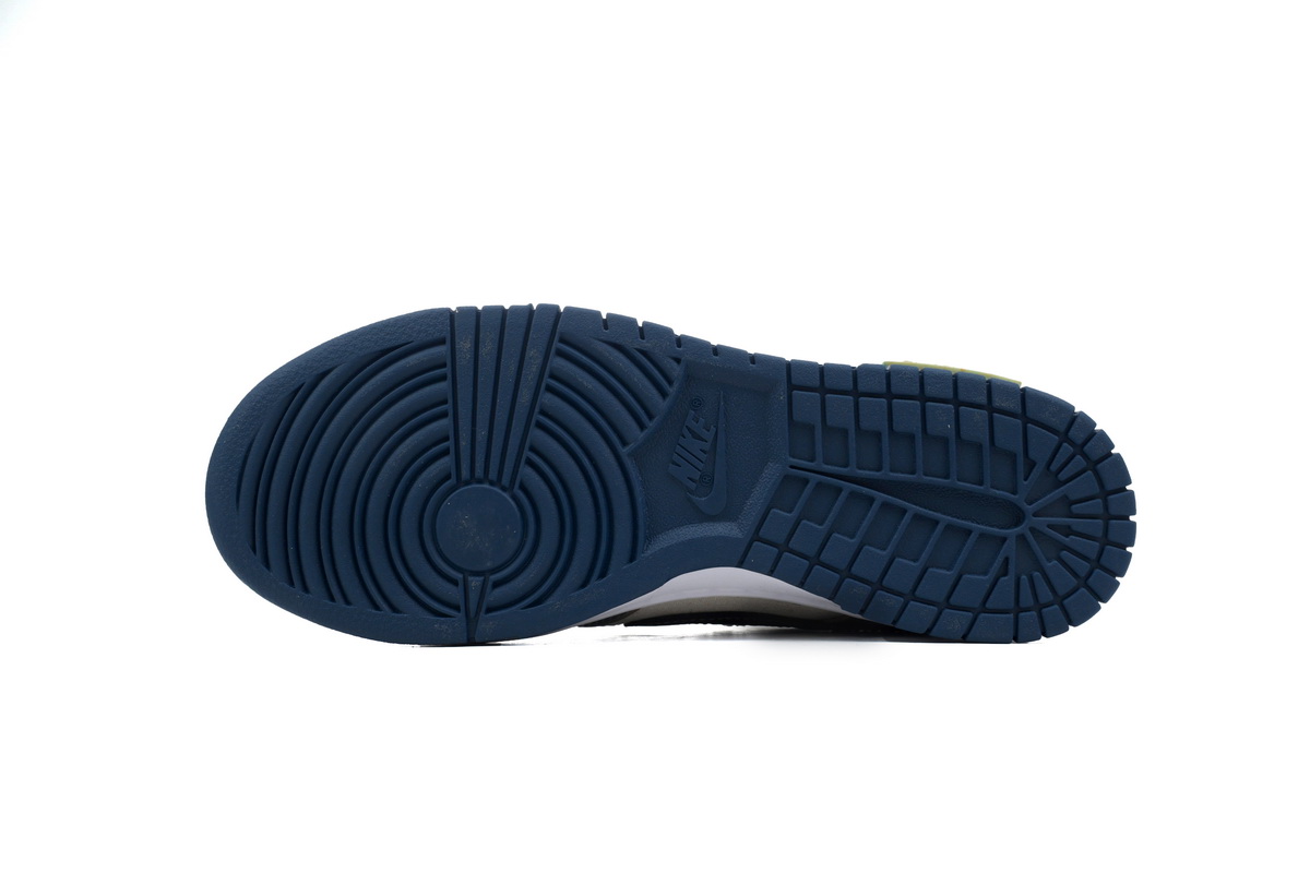 Nike Dunk Low Age Of Navigation DD1391-400