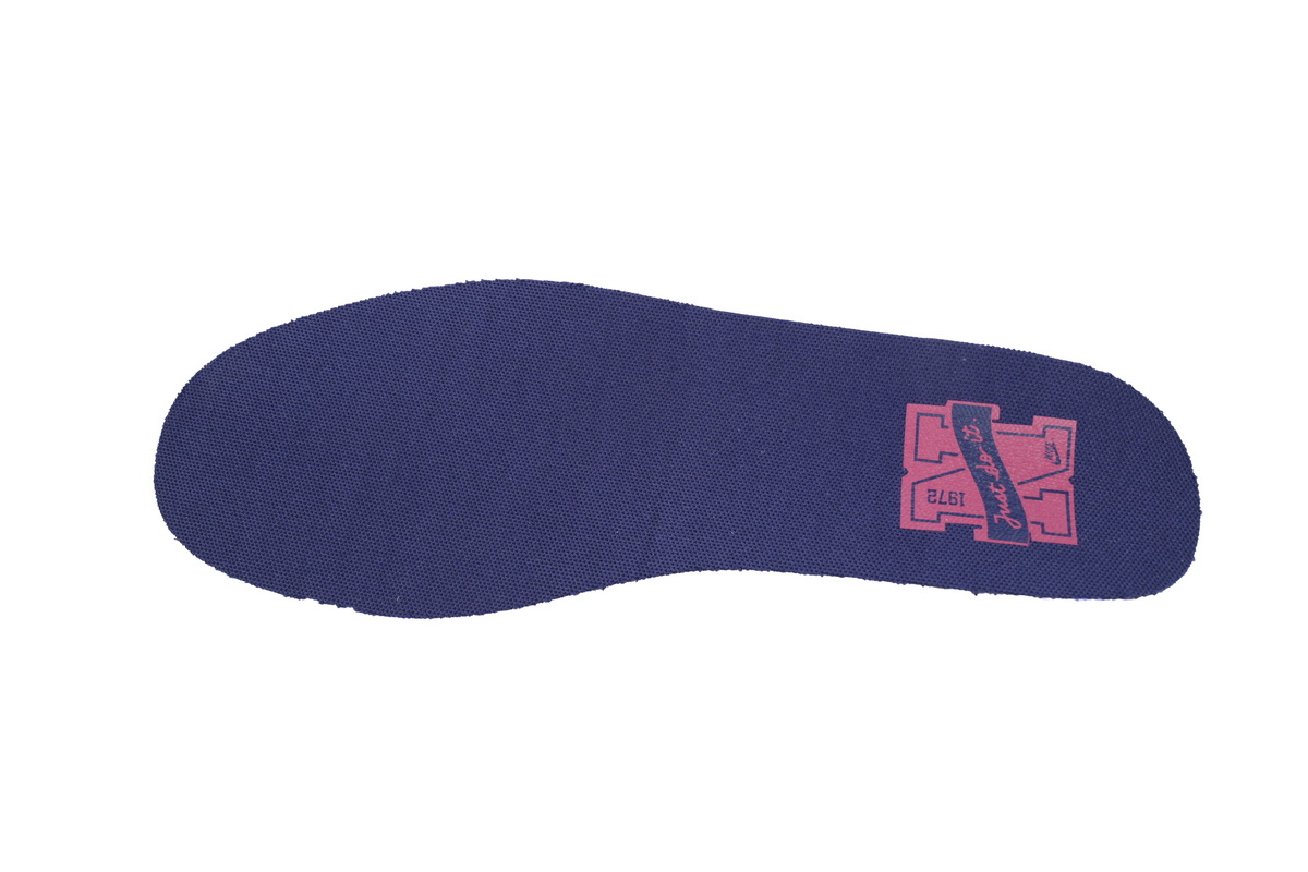 Nike Dunk Low Dark Series FV8106-181