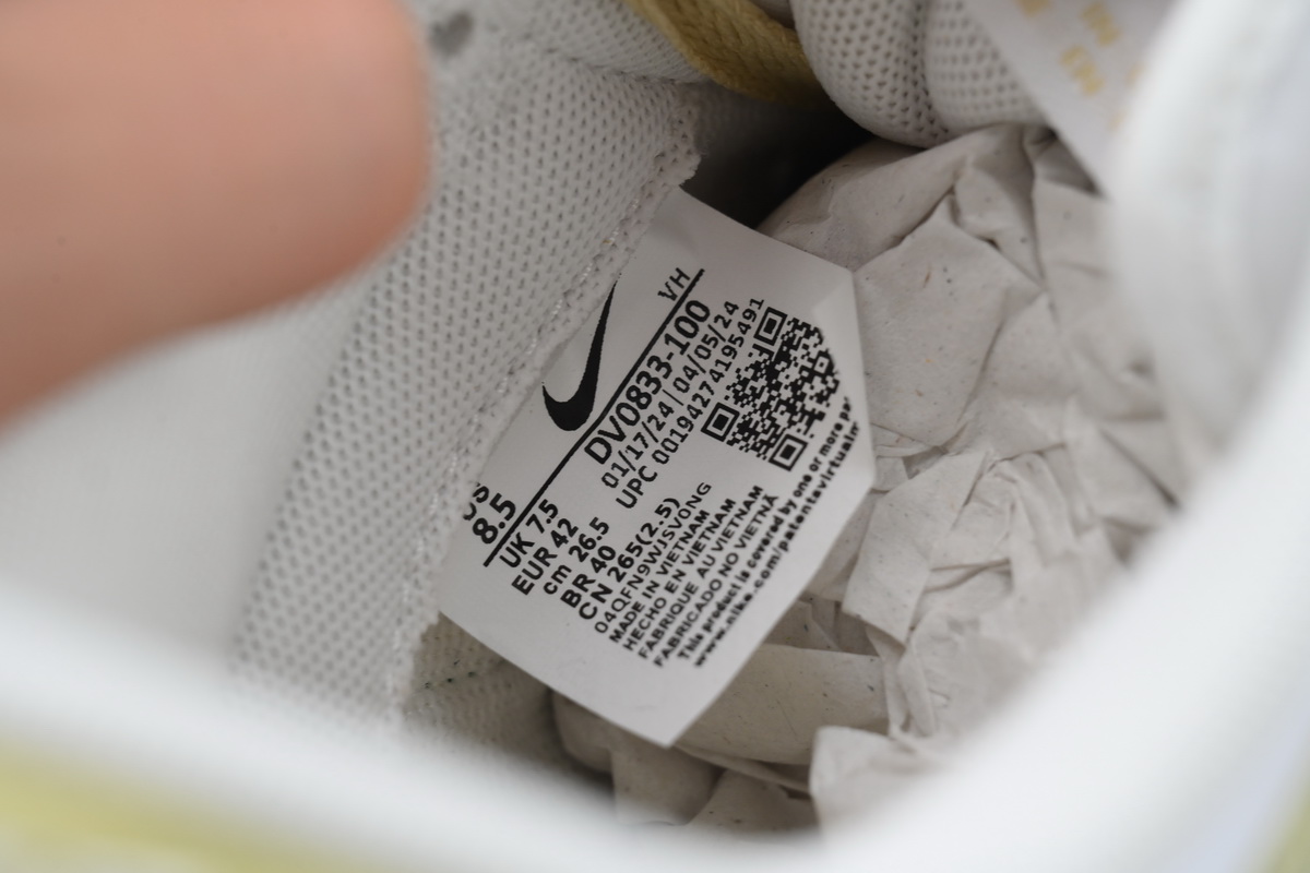 Nike Dunk Low Drunkard DV0833-100