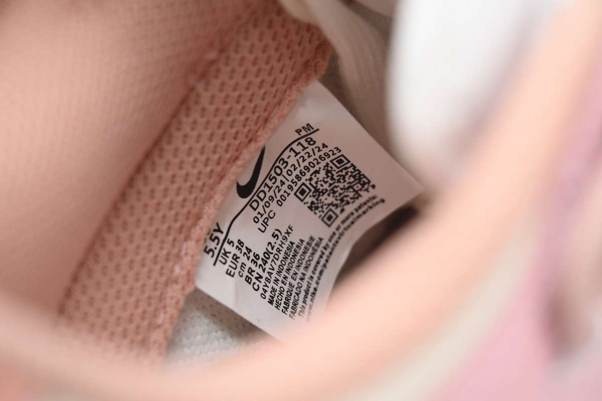 Nike Dunk Low Spd DD1503-118