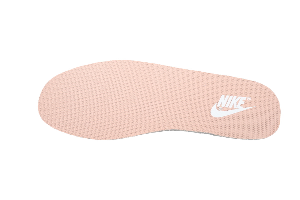 Nike Dunk Low Spd DD1503-118