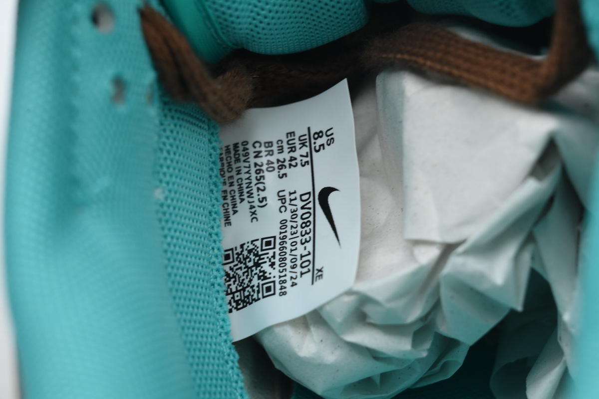 Nike Dunk Low Spring Day Arrival Formation DV0833-101