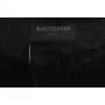 Balenciaga Distressed Mud-Dyed Double B Print Short Sleeves Black