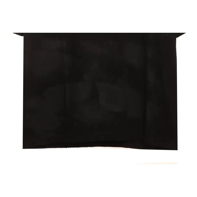 Balenciaga Distressed Mud-Dyed Double B Print Short Sleeves Black