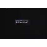 Patagonia Logo Outdoor Jacket