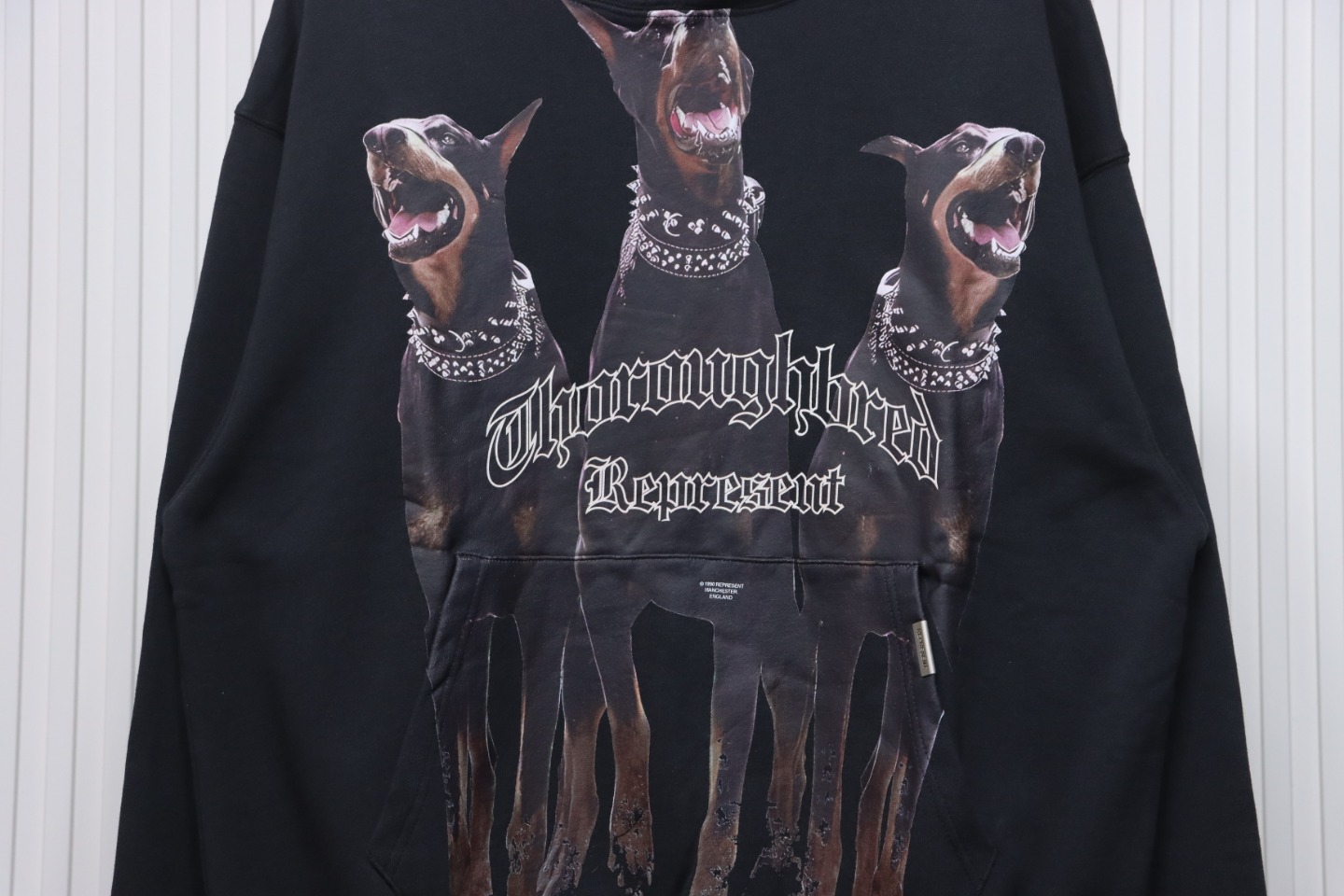 Represent 24FW Doberman Hooded Hoodie