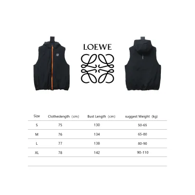 Loewe 24 Styles Of Angpao Joint Orange Zipper Hooded Down Vest 02