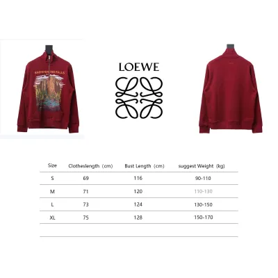 Loewe 24Fw Mountain Stream Waterfall Half Zip Stand Collar Hoodie 02