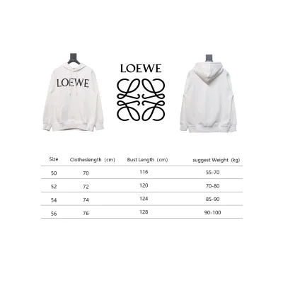 Loewe 24SS Large Letter Print Hooded Hoodie White 02