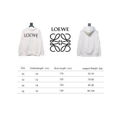 Loewe 24SS Large Letter Print Hooded Hoodie White 02