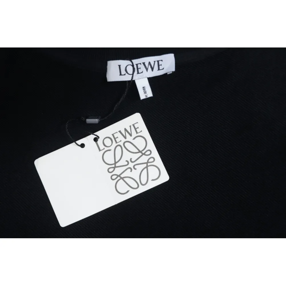 Loewe Web Embroidery Crew Neck Hoodie